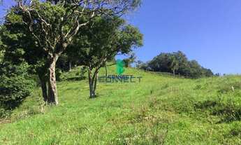 Imagem 7: Chácara com 3 Dormitorio(s) localizado(a) no bairro Área Rural de Farroupilha em Farroupi