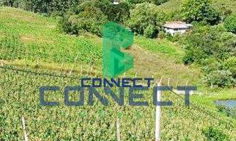 Imagem: Chácara com 3 Dormitorio(s) localizado(a)