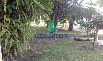 Imagem 6: Chácara com 3 Dormitorio(s) localizado(a) no bairro São Marcos em São Marcos (Uruguaiana