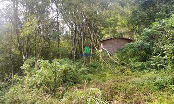 Imagem 3: Chácara , 50M² de Área Total