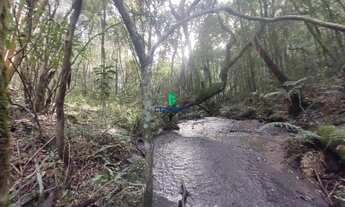 Imagem 2: Área Rural, 2M² de Área Construída