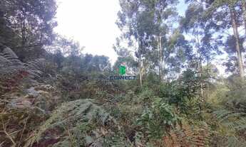 Imagem 7: Área Rural, 2M² de Área Construída