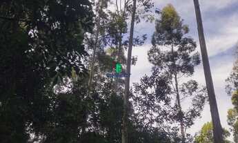 Imagem: Área Rural, 2M² de Área Construída