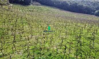 Imagem 6: CHÁCARA , 20000M² de Área Construída