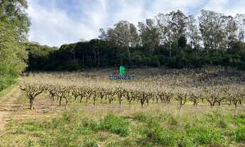 Imagem: Área de terras de 8,5 hectares na linha