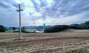 Imagem 4: Excelente área de terras de 2 hectares com frente para asfalto
