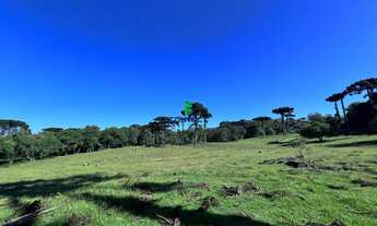 Imagem: Chácara Linha Caçador (3º Distrito)