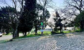Imagem: Terreno à venda em Farroupilha, Monte Pasqual