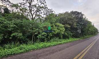 Imagem 4: Oportunidade: Área de Terra em Linha Boêmios Farroupilha - Venda