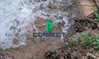 Imagem 2: Área de Terra em Alto Feliz: Venda na Linha São Pedro - Confira!