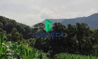 Imagem 3: Área de Terra em Alto Feliz: Venda na Linha São Pedro - Confira!