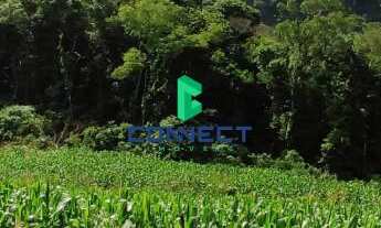 Imagem 5: Área de Terra em Alto Feliz: Venda na Linha São Pedro - Confira!