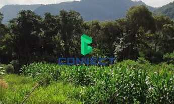 Imagem 7: Área de Terra em Alto Feliz: Venda na Linha São Pedro - Confira!