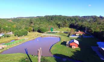 Imagem 6: Chácara - Sítio em Bento Gonçalves, São Pedro