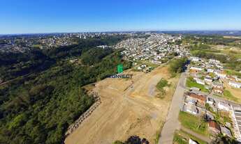 Imagem: Terrenos na Planta em Farroupilha - Última