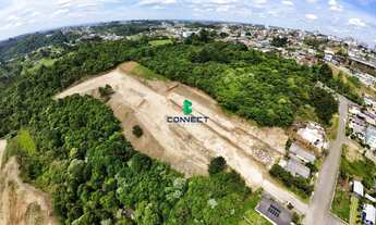 Imagem 2: Terrenos na Planta em Farroupilha - Adquirira um lote com pagamentos facilitados