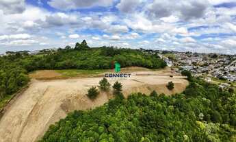 Imagem 1: Terrenos na Planta em Farroupilha - Adquirira um lote com pagamentos facilitados