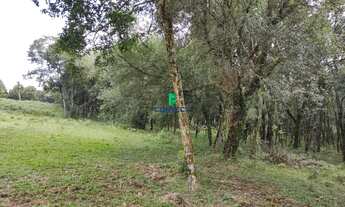 Imagem 6: Chácara à venda na Linha Palmeiro em Farroupilha com AMPLA área de terreno