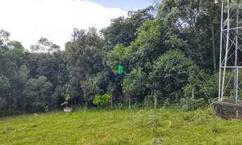 Imagem 5: Chácara à venda na Linha Palmeiro em Farroupilha com AMPLA área de terreno