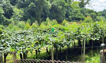 Imagem 6: Chácara com PISCINA e Casa TOTALMENTE MOBILIADA