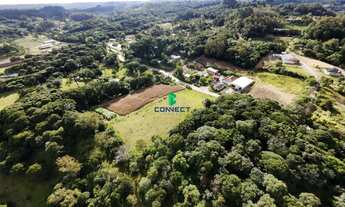 Imagem 4: Chácaras à venda em Farroupilha, a poucos minutos do centro!