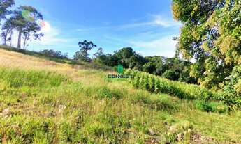 Imagem: Chácara à venda em Farroupilha, Nova Sardenha