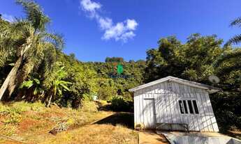 Imagem 3: Venda de Chácara de 4 hectares com Piscina em Farroupilha - Aproveite essa oferta especial