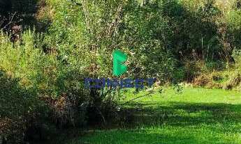 Imagem: Chácara à venda em Farroupilha, Área