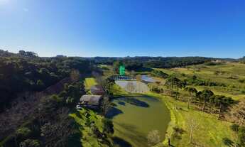 Imagem: Fazenda completa - OPORTUNIDADE ÚNICA em