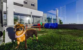 Imagem: Ensolarado apto MOBILIADO e em ANDAR ALTO