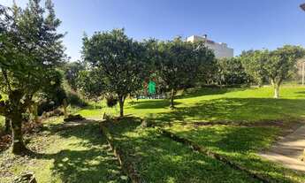 Imagem 4: Oportunidade: Terreno para venda em Farroupilha, Bela Vista