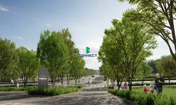 Imagem 7: LOTEAMENTO FELTRIN - UM ENDEREÇO COM MÚLTIPLAS POSSIBILIDADES