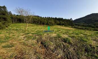 Imagem 3: Chácara à venda em Alto Feliz, Interior - Oportunidade única!