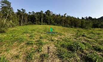 Imagem 5: Chácara à venda em Alto Feliz, Interior - Oportunidade única!
