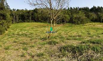 Imagem 6: Chácara à venda em Alto Feliz, Interior - Oportunidade única!