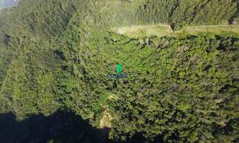 Imagem 6: Área de Terra à venda em Farroupilha, Linha Boêmios: oportunidade única!