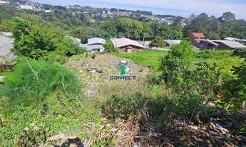 Imagem 4: Oportunidade: Terreno para venda em Farroupilha, no bairro Cruzeiro