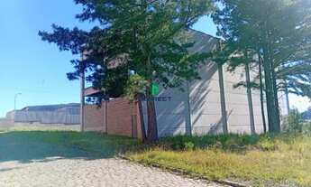 Imagem 5: Pavilhão em excelente localização próximo a RS122 / RST453 no bairro Medianeira em Farroup