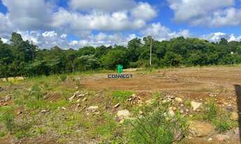 Imagem 3: Oportunidade: Terreno em Farrapos, Farroupilha - Venda