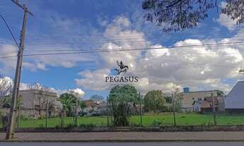 Imagem: Terreno Amplo, 995M² de Área Total