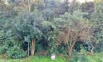 Imagem: Terreno Espaçoso, 594M² de Área Total