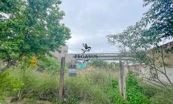 Imagem 2: Terreno Comercial, 218M² de Área Total