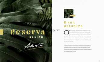 Imagem: Reserva Barigui - Colina