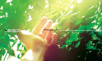 Imagem 2: Bosco Centrale, 3 dormitórios, 1 suítes, 2 banheiro, 2 vagas na garagem, 168M² de Área Con