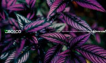 Imagem 6: Bosco Centrale, 3 dormitórios, 1 suítes, 2 banheiro, 2 vagas na garagem, 168M² de Área Con