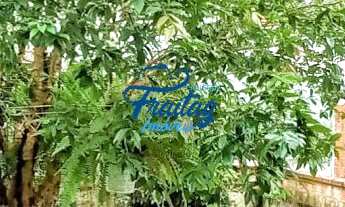 Imagem 6: Casa com 02 Quartos Sendo 01 Suíte em Jaraguá do Sul - Bairro Chico de Paula