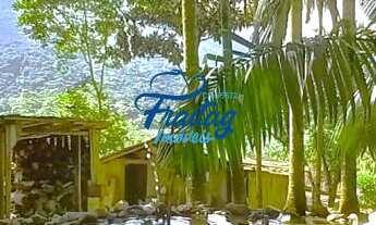 Imagem 4: Chácara com 3 quartos - Schroeder - Braço do Sul