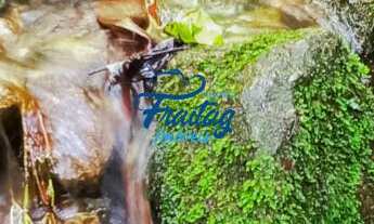 Imagem 7: Chácara com 3 quartos - Schroeder - Braço do Sul