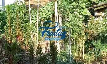 Imagem 4: Casa com 05 quartos sendo 01 suíte em Schroeder - Bairro Centro Norte