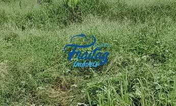 Imagem 2: Terreno em Schroeder no Bairro Centro Norte